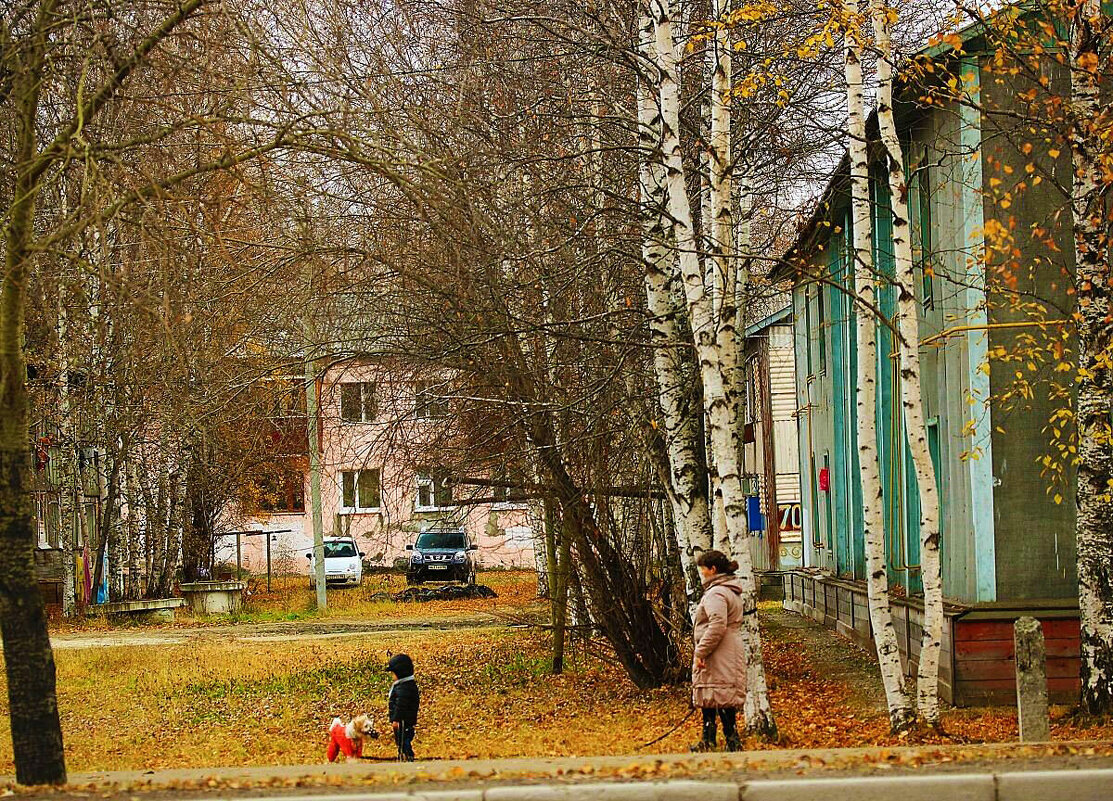 Сентябрь...С малышкой и песиком в сквере! - Владимир 