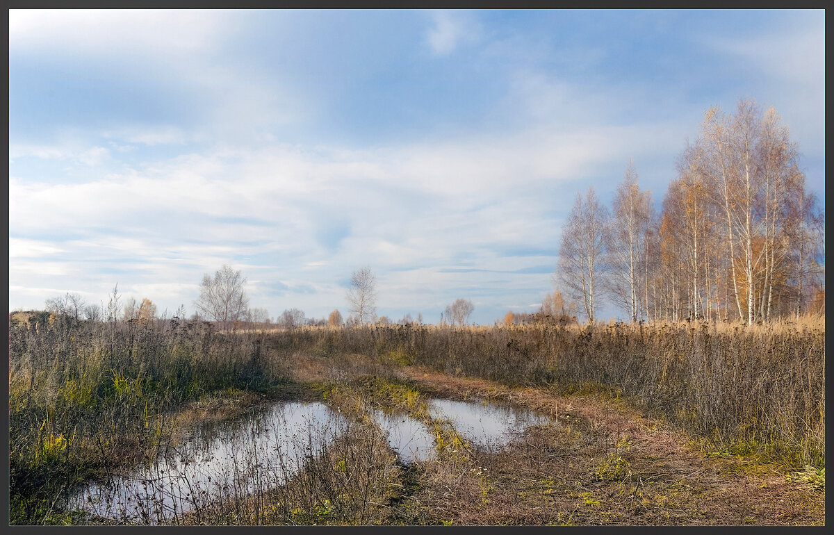 Осень - **** vedin