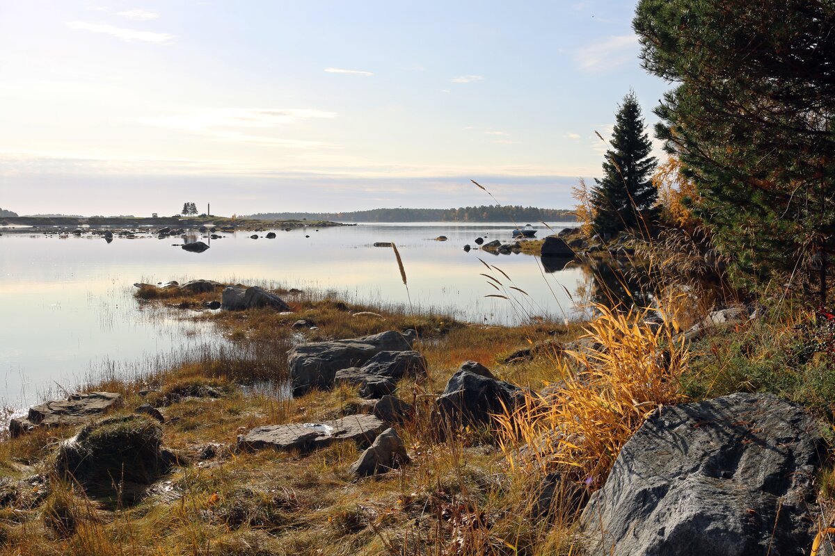 Осень у Белого моря - Ольга 