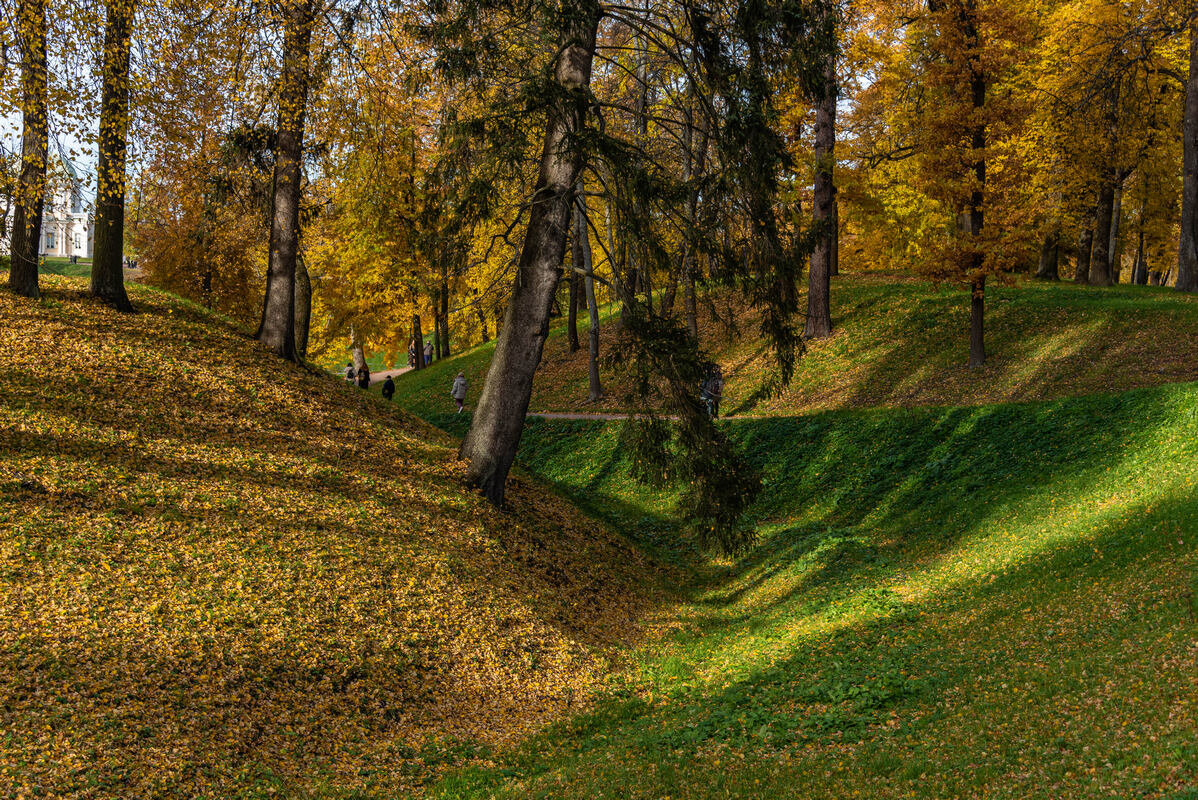 *** - Дмитрий Лупандин