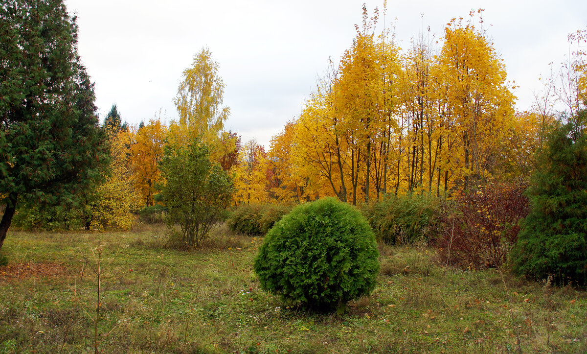 В осеннем парке - Елена Кирьянова