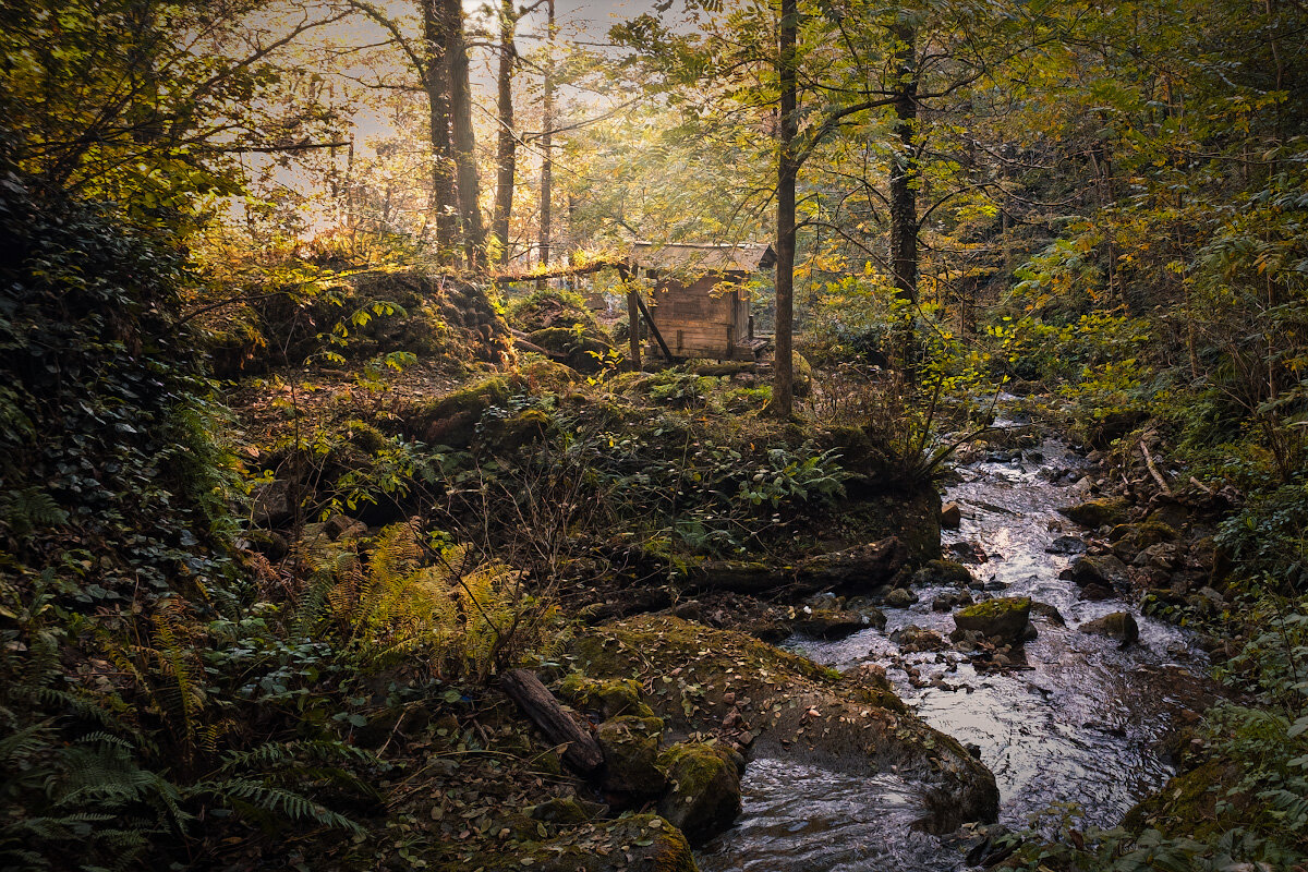 Autumn In Kapnistavi Jungles - Fuseboy 