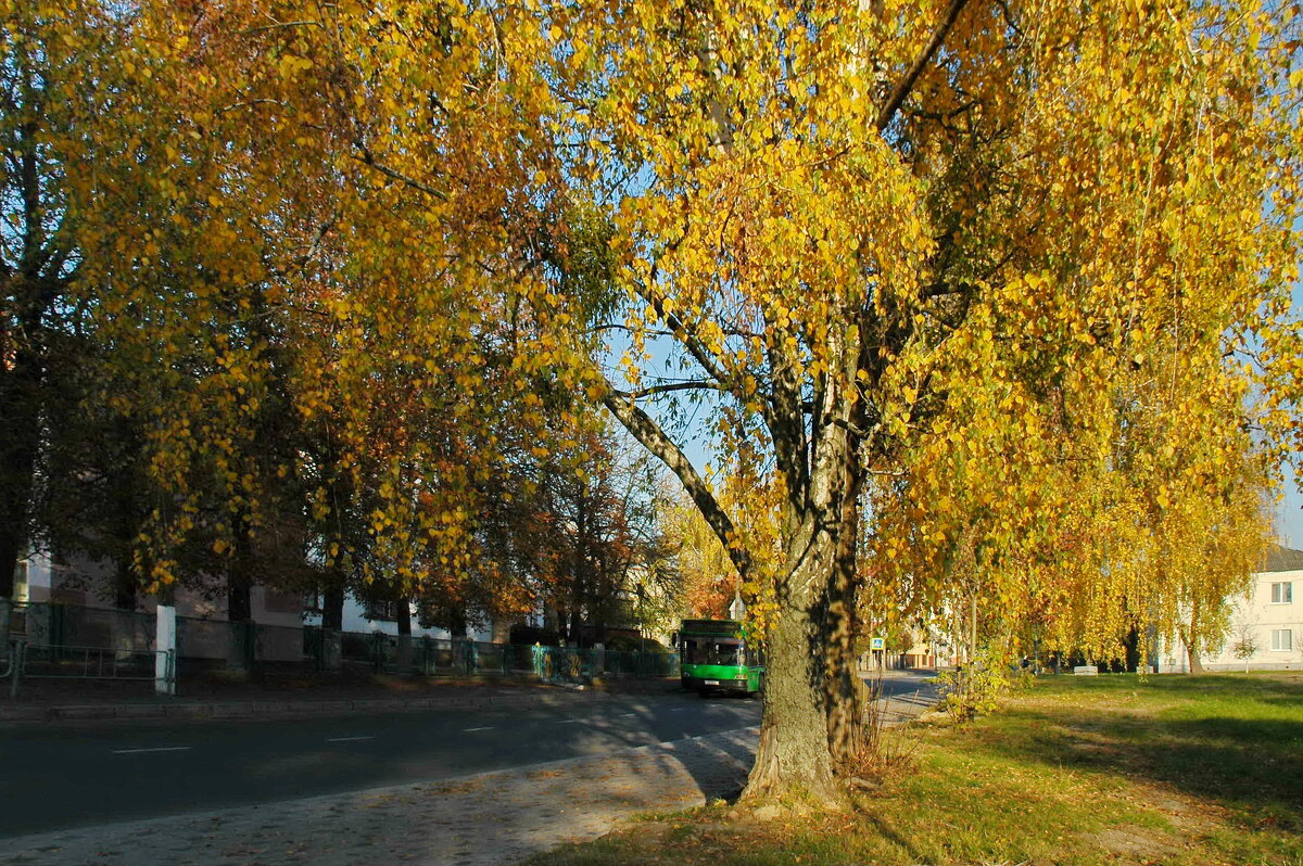 Осень в городе - Елена Пономарева