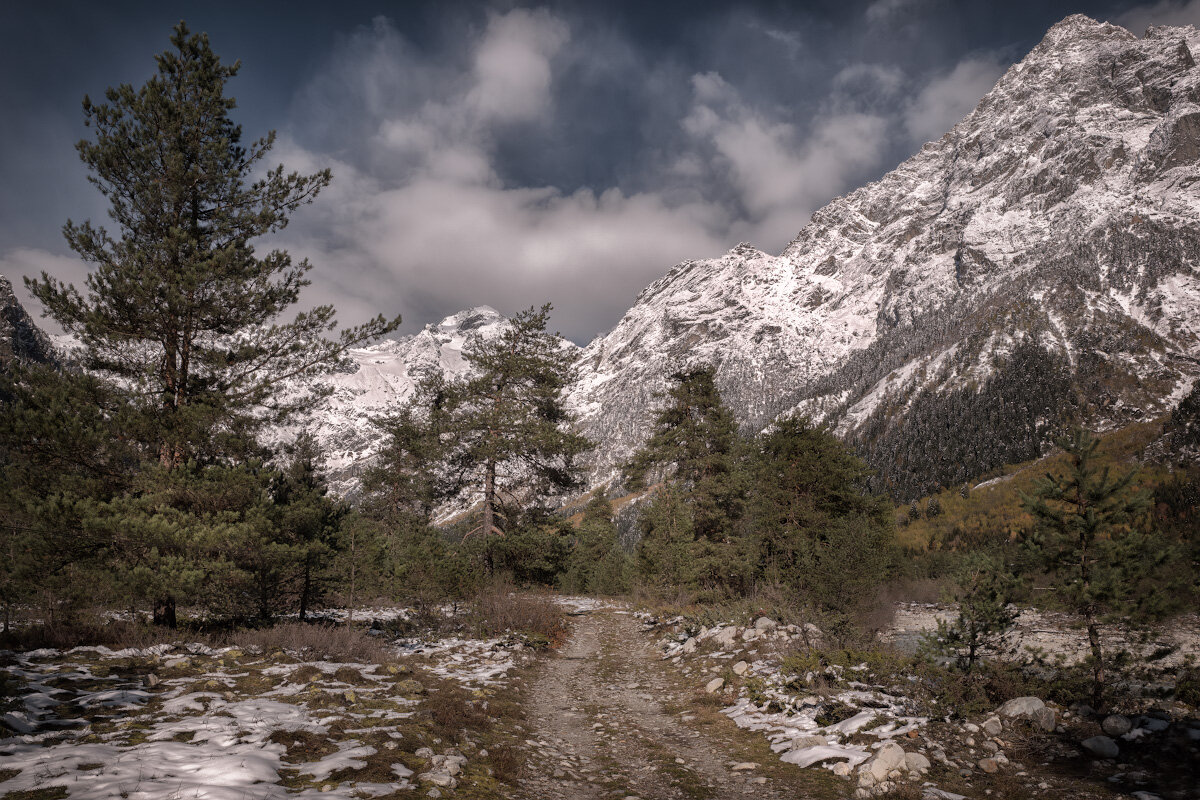 First Breath Of Winter In Becho Valley - Fuseboy 