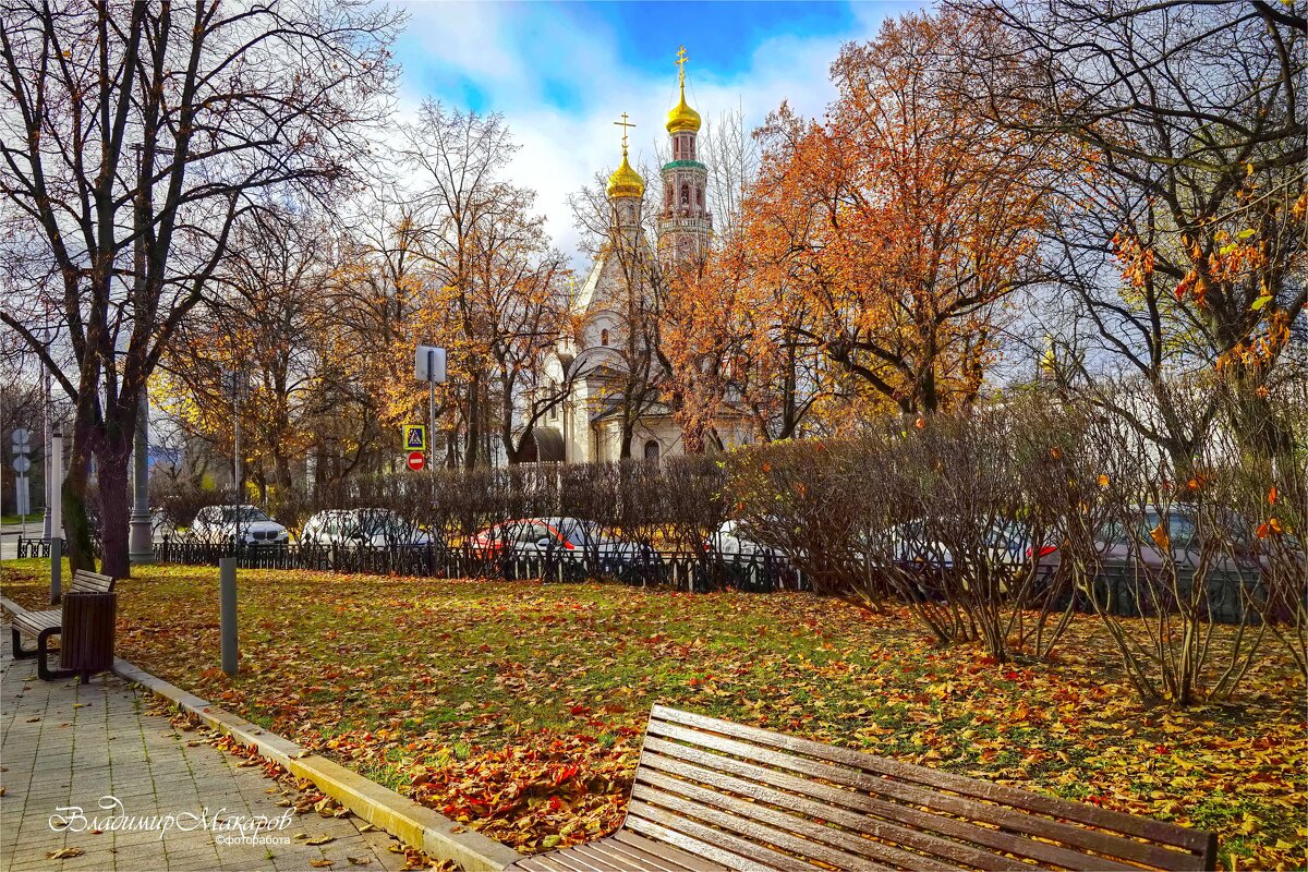 "Осень продолжается. Ноябрь в Новодевичьем"© - Владимир Макаров