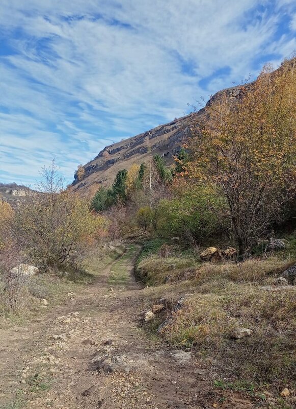 Кисловодск. Берёзовское ущелье - Нина Бутко