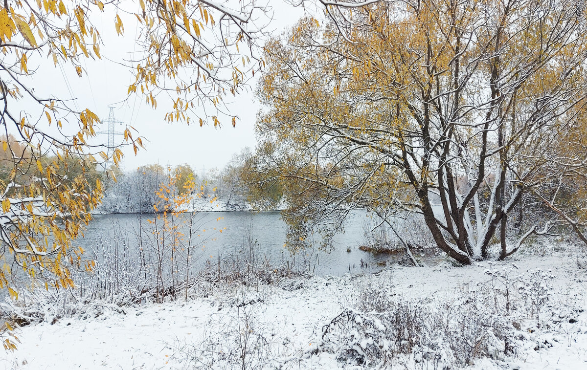 *** - Владимир Безбородов