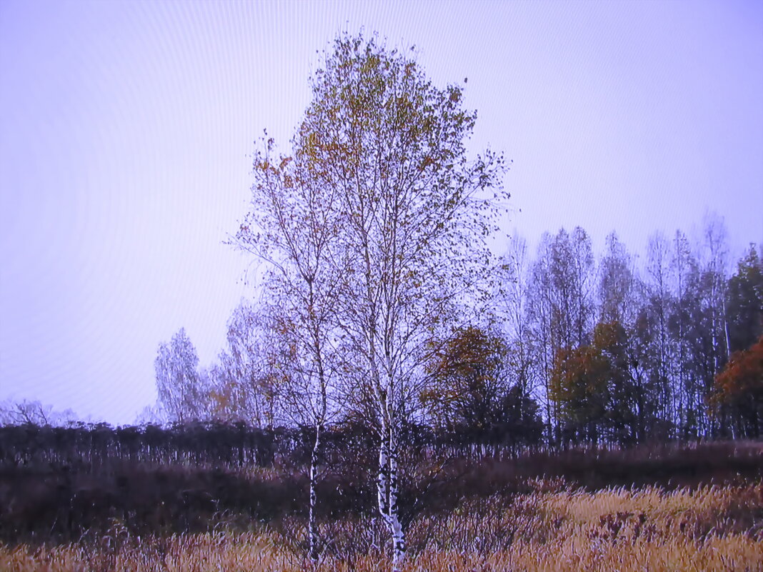 Осень - Людмила Смородинская