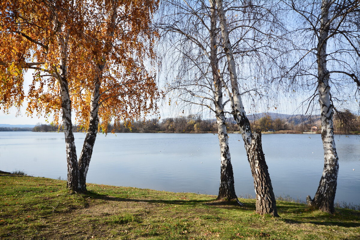 Осень на реке - Милорад 