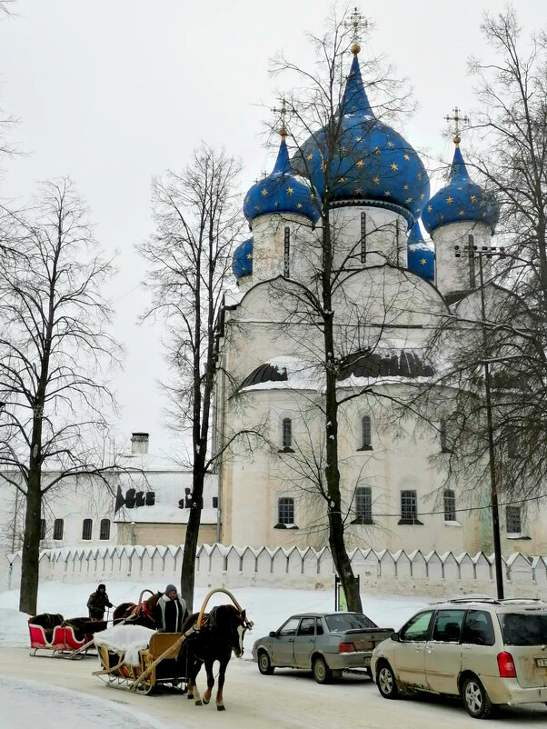 Суздальский кремль - Елена Вишневская