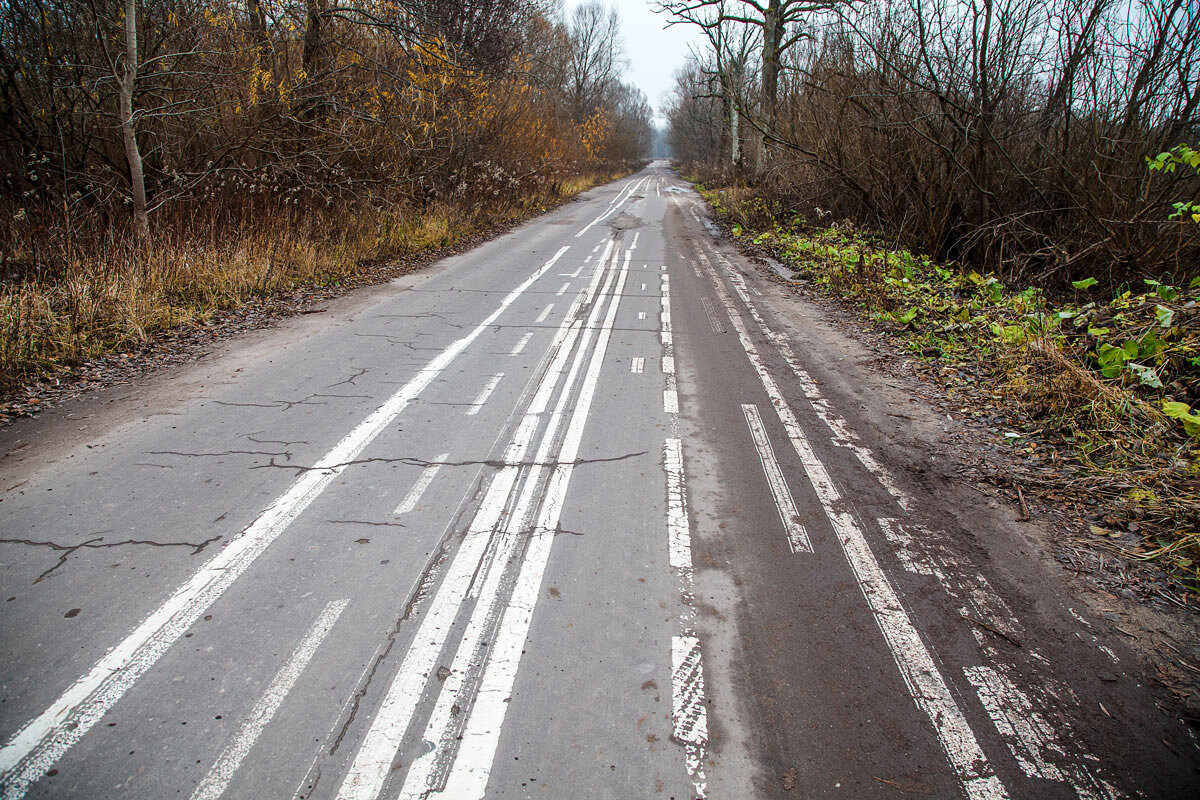 дорога - Радомир Тарасов