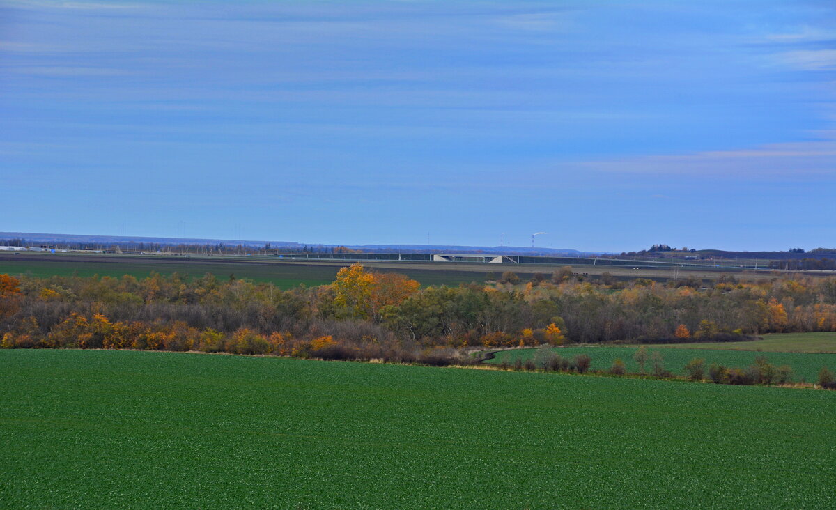 ** - Петр Заровнев