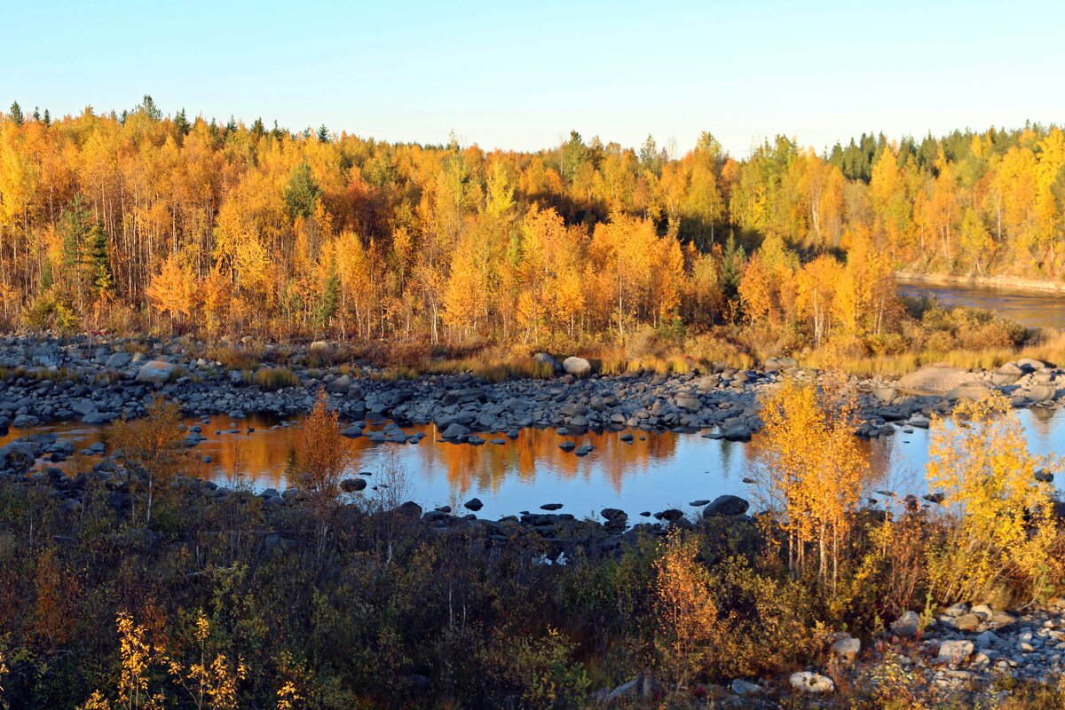 В осенних красках - Ольга 