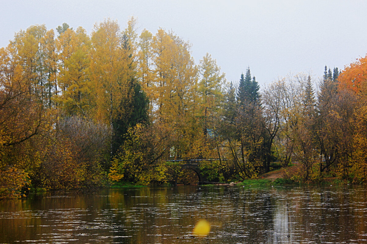 Осень - Сергей Кочнев