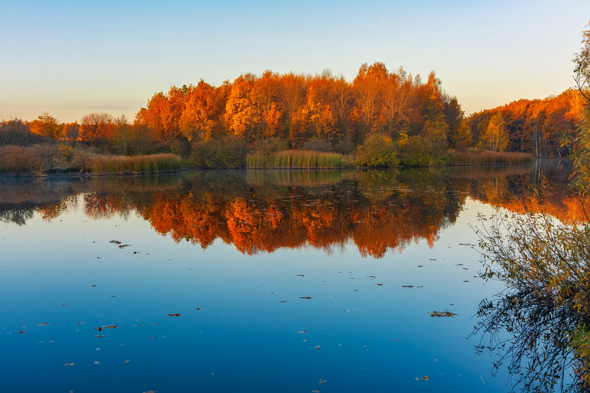 * - Виталий Емельянов