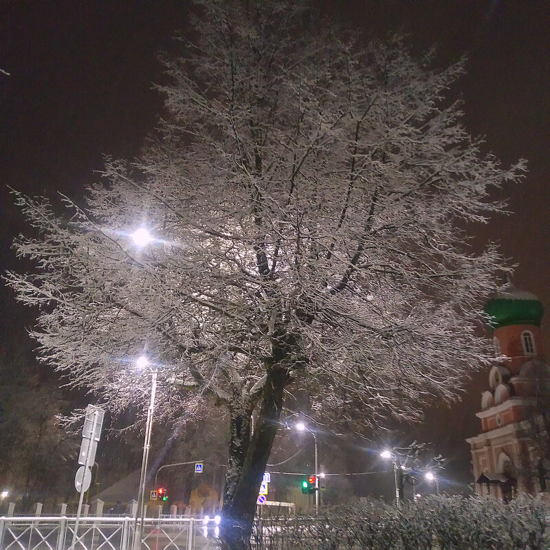 Последние осенние дни - Сергей Кочнев