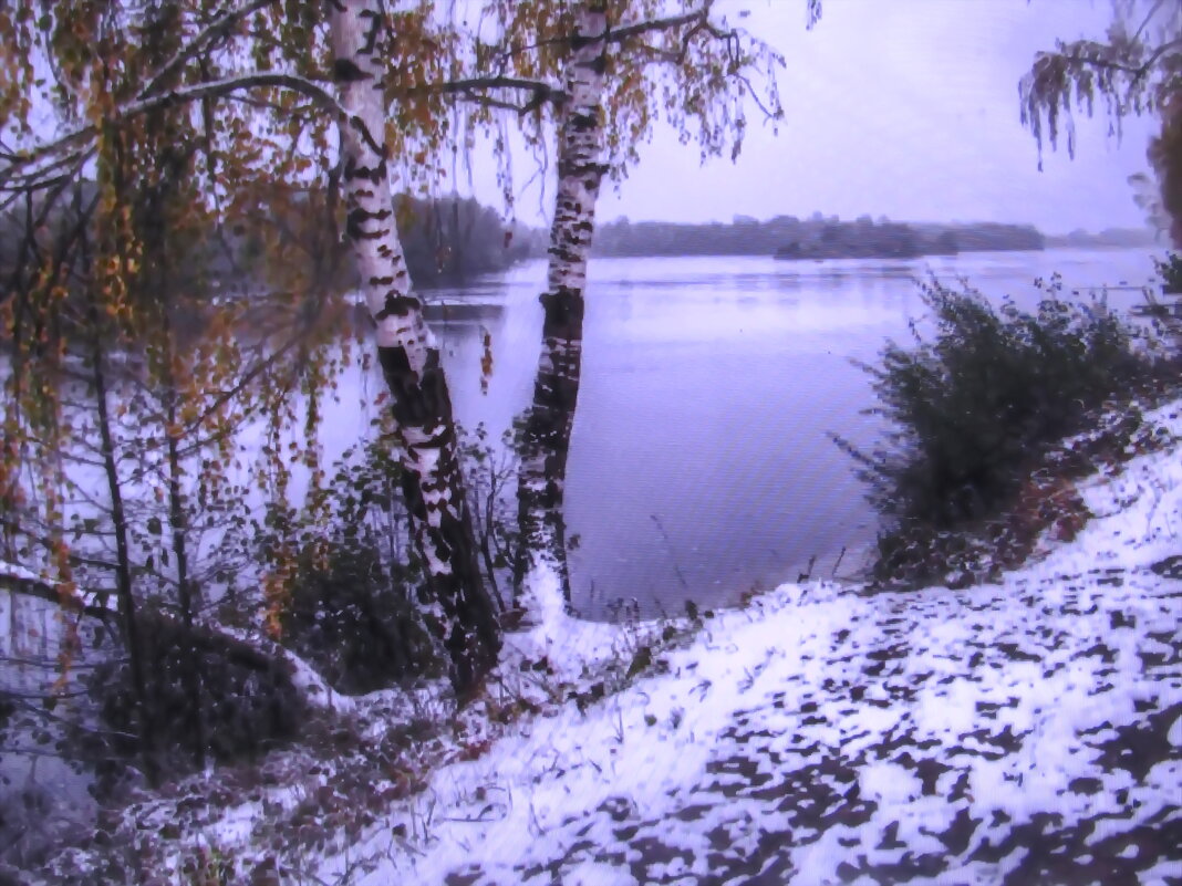 Ноябрьская красота - Людмила Смородинская