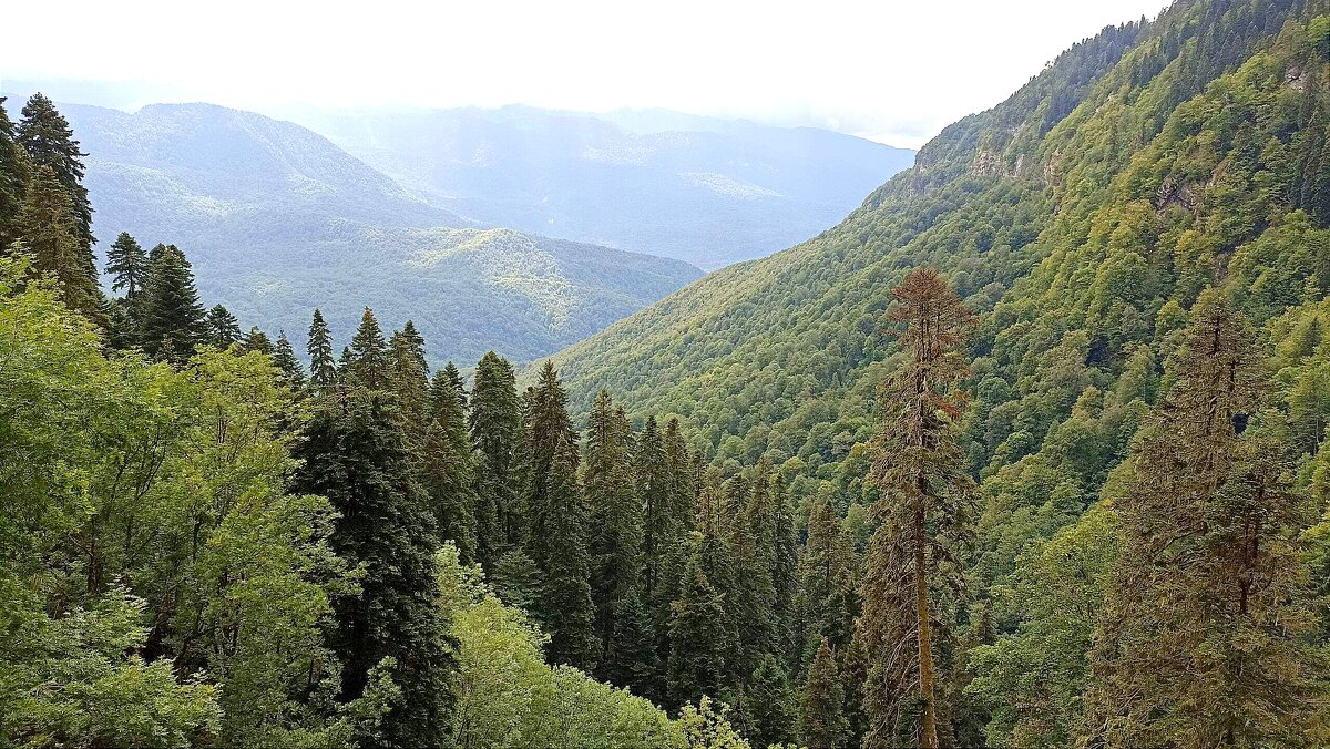 В горах - Татьяна Тюменка