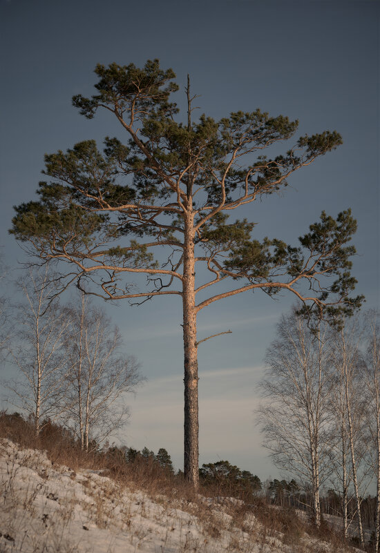 * - Александр Иванов