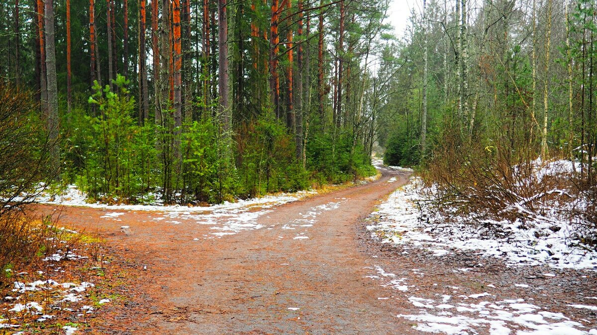 У развилки дорог (правая дорога на берег Днепра) - Милешкин Владимир Алексеевич 