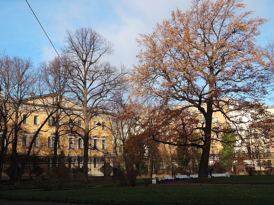 Солнечный день в ноябре - Лидия Бусурина