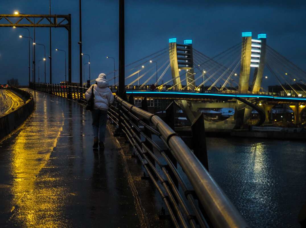 На мосту Бетанкура - Магомед .