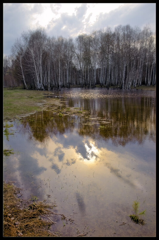 Талая вода - **** vedin