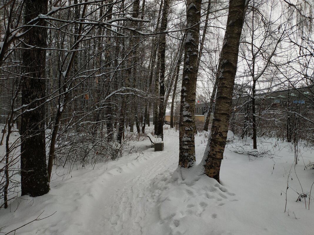 Сезон нецветной фотографии - Андрей Лукьянов