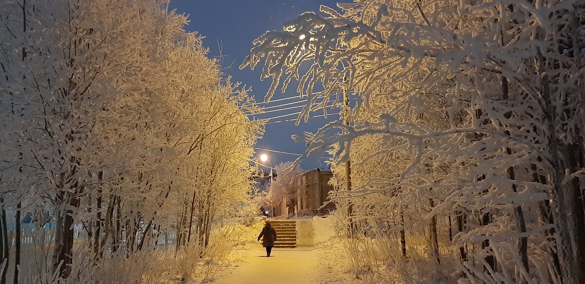 Полярная ночь - Ольга 