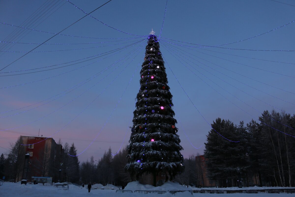 В полярных сумерках - Ольга 