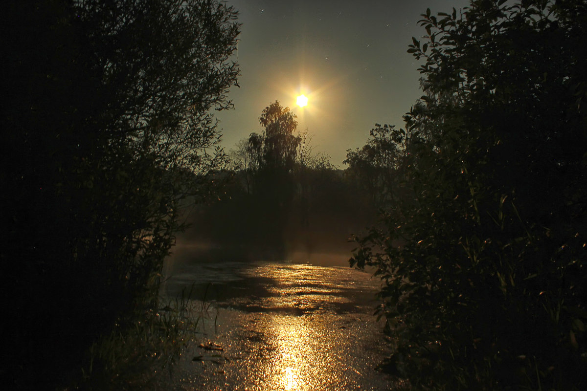 Красота летней ночи - Олег Сонин