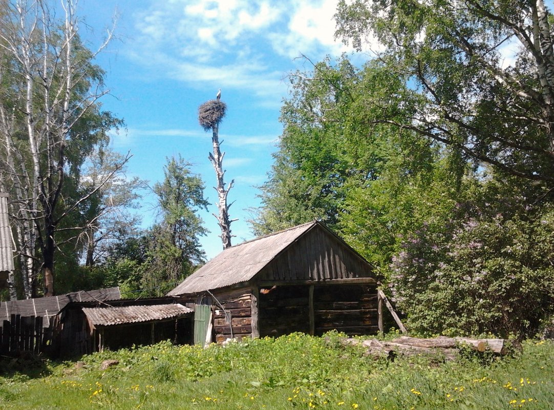 Мобильные зарисовки - Оксана 