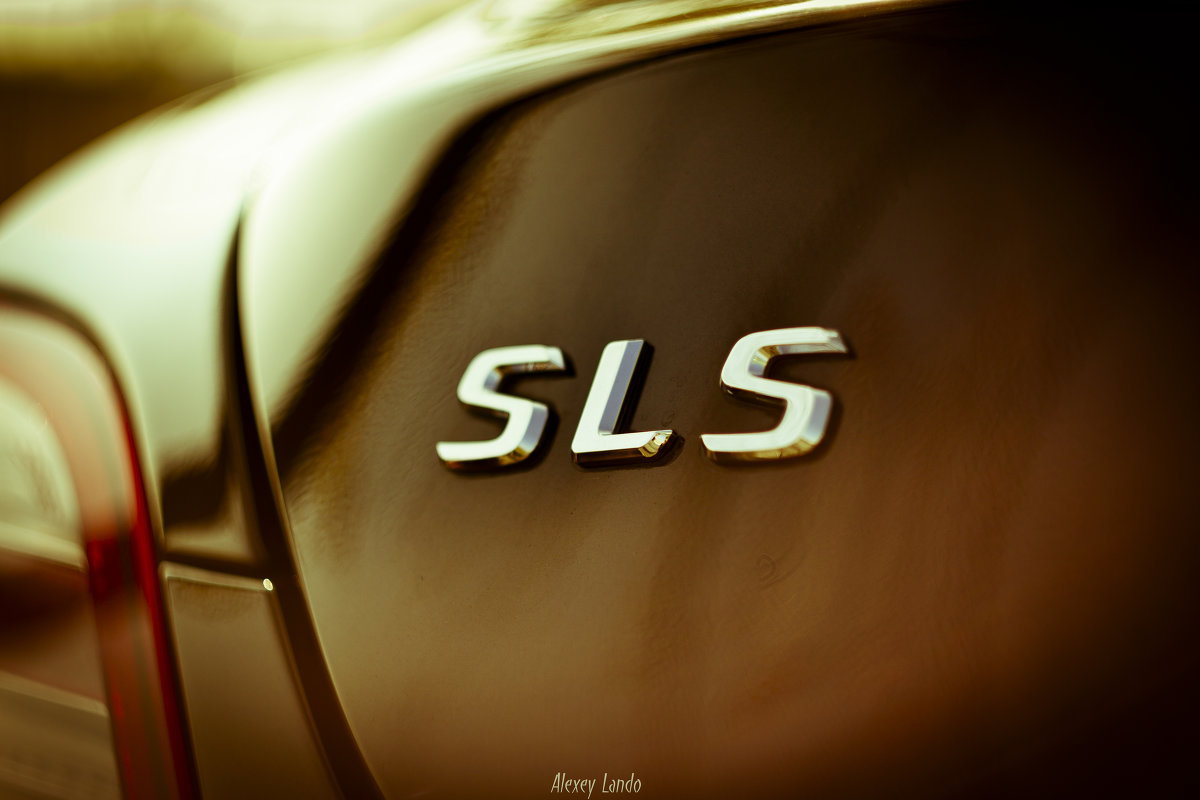 SLS - Alexey Lando