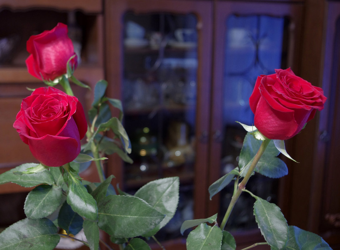 Три розы - Владимир Нев