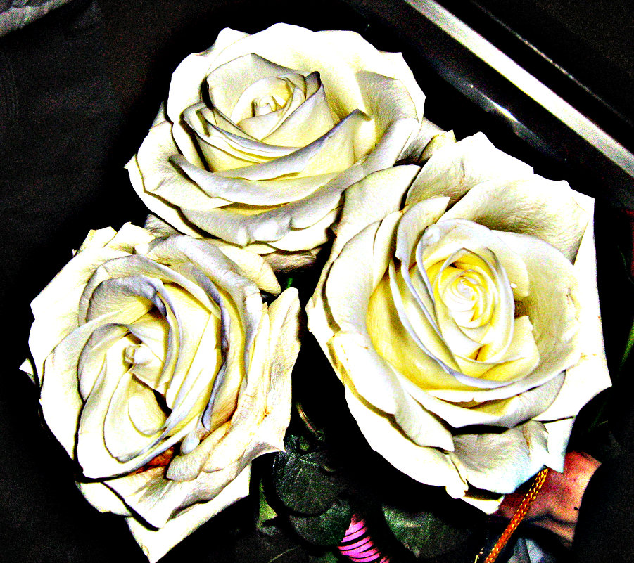 Розы на эскалаторе - Светлана 