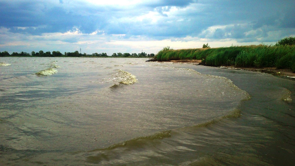 река поверила, что стала морем,,, - Наталья 