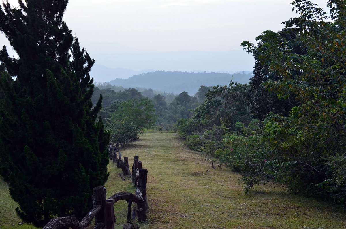 Pa Ngam Mountain Lodge - NORICO YOSHIDA 