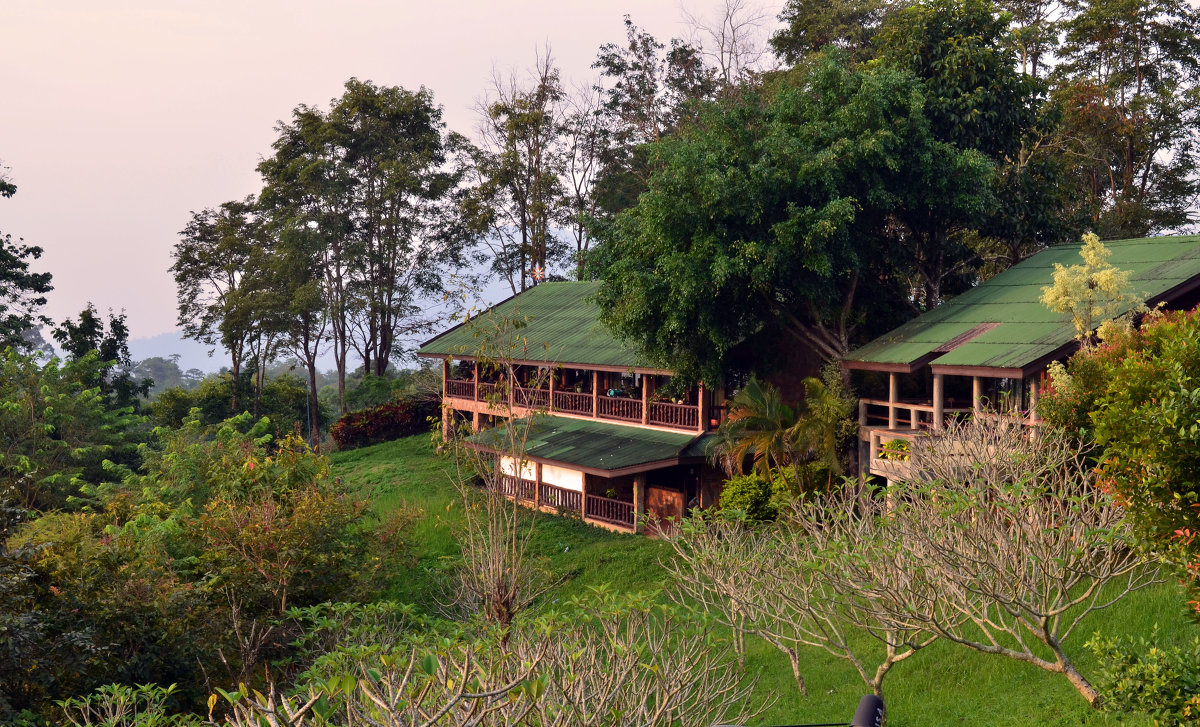 Pa Ngam Mountain Lodge - NORICO YOSHIDA 