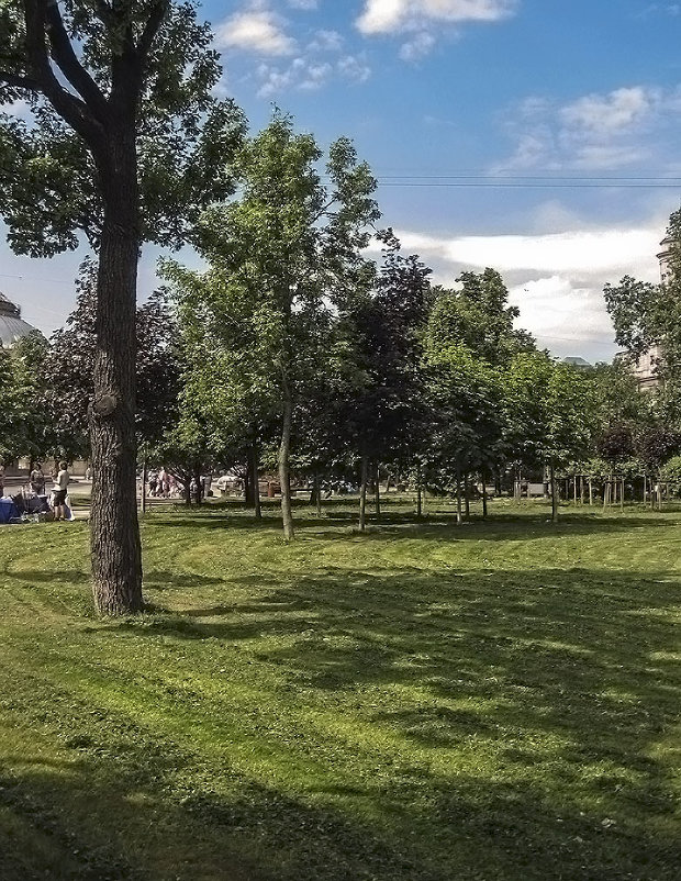 Лужайки Александровского парка (2) - Valerii Ivanov