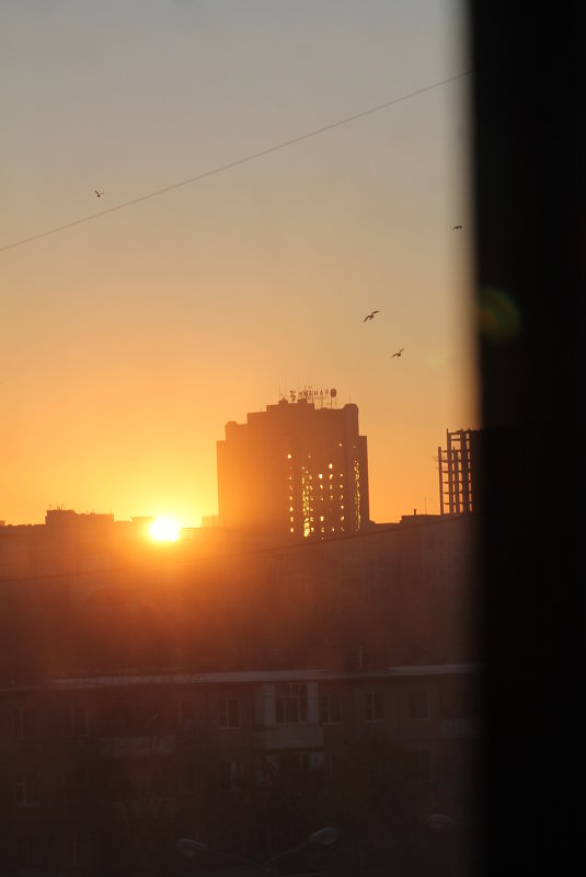 House оf the rising sun - Irina 