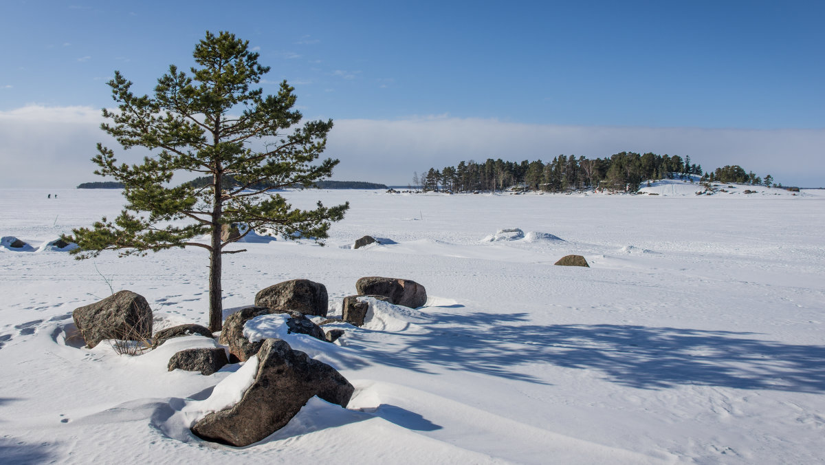 Март на  Финском заливе - Evgeniy Kalinin 