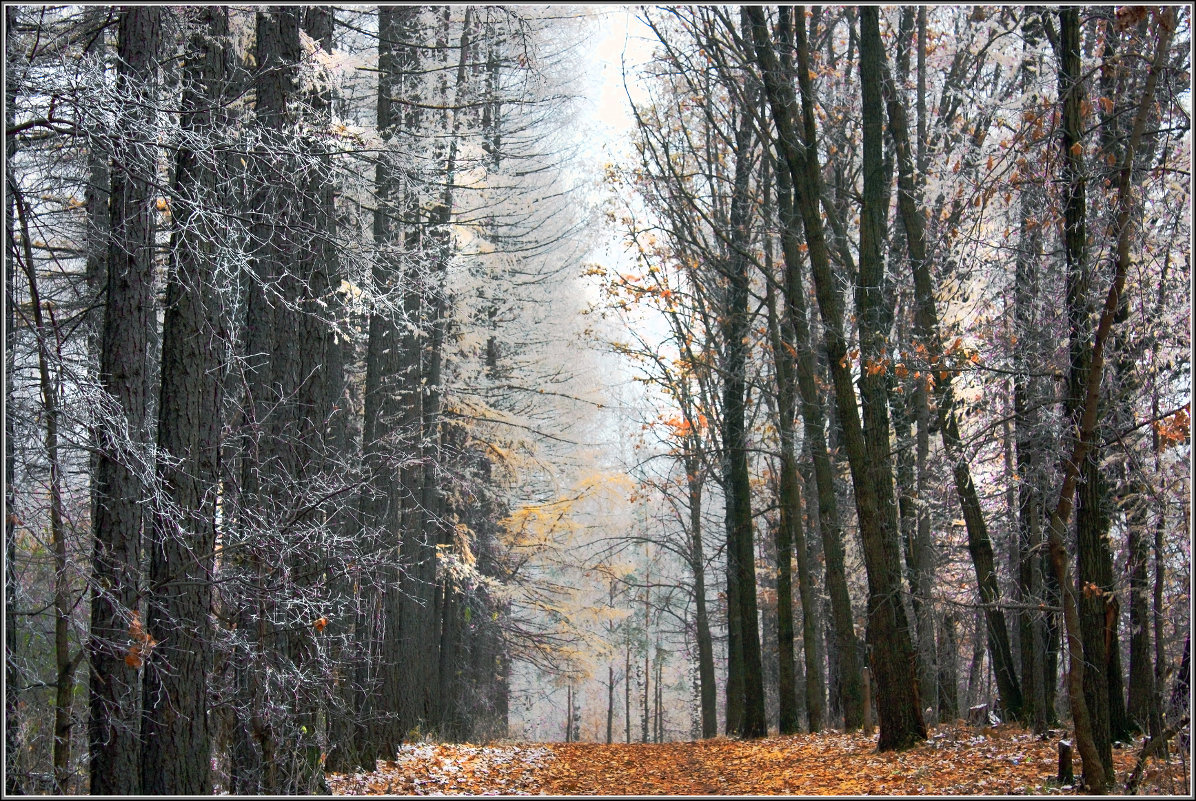 Осень покидает кордон - Olenka 