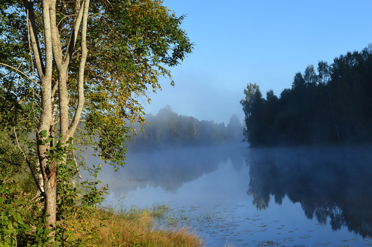 Озеро рядом с границей Карелии и Финляндии - Ekaterina Chipak 