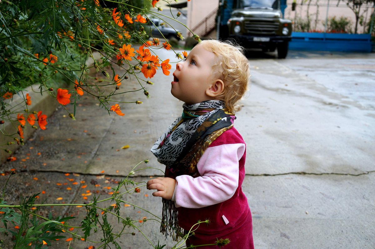 осенние цветы - Alena Pilyasinskaya
