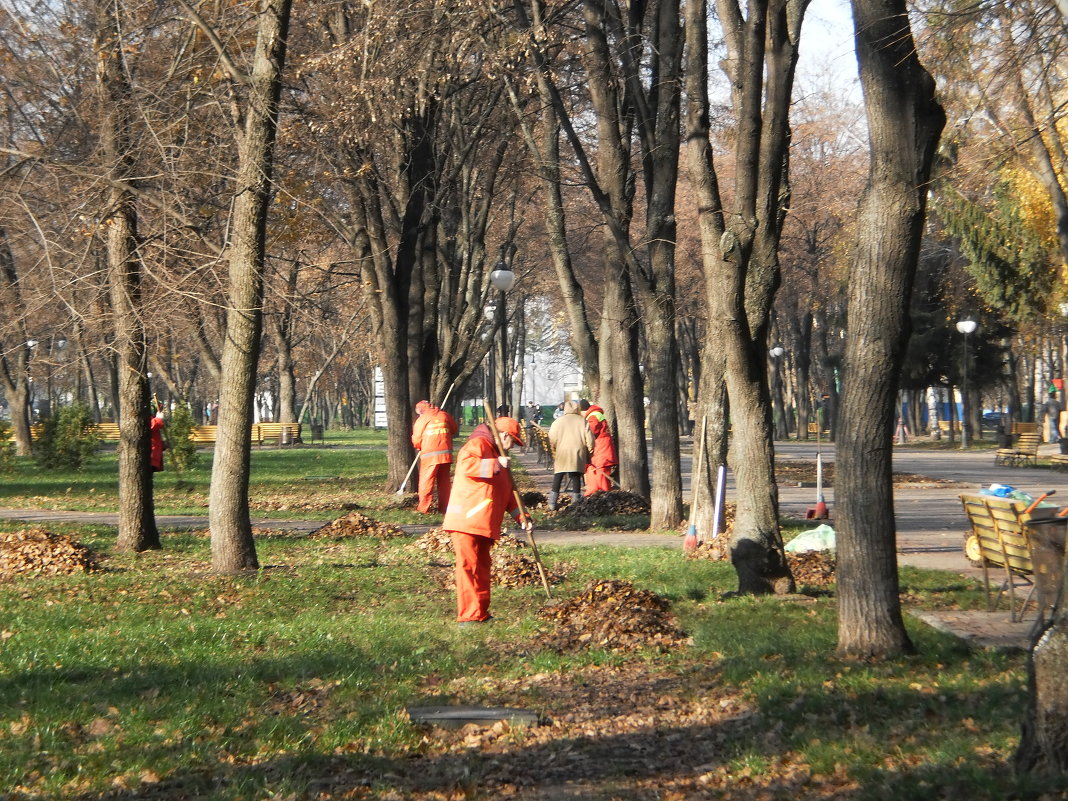Отряд весёлых дворников хоронит листопад... - Наталья Тимошенко