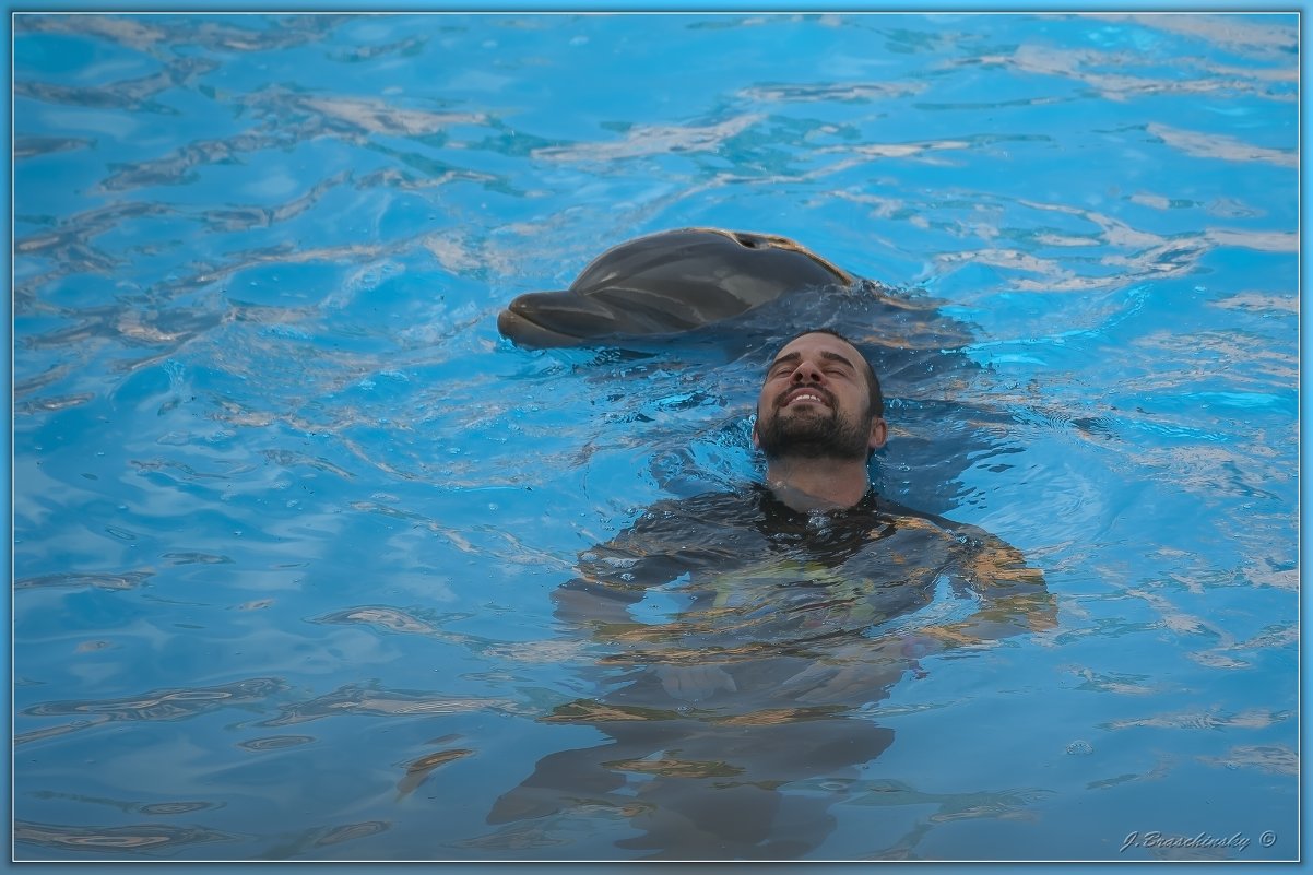 Loro Parque, Tenerife - Jossif Braschinsky