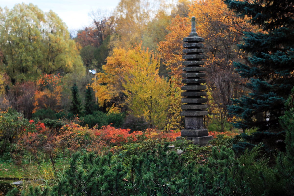 Японский сад - Валентина Риджин