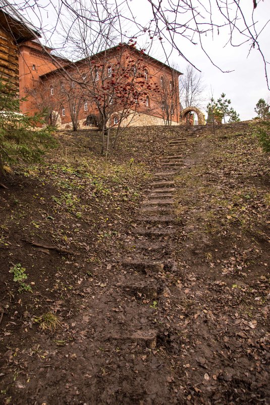 спуск к монастырскому пруду - Андрей Мичурин