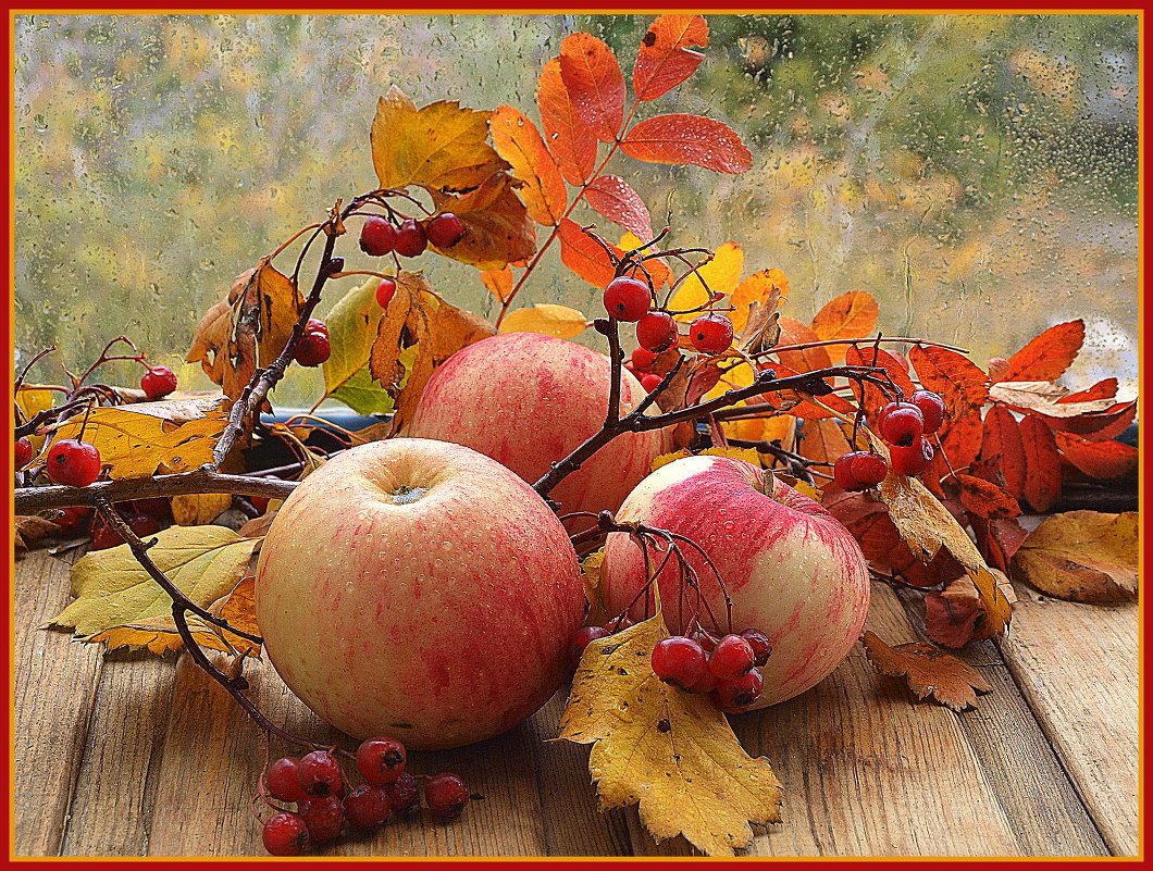 Осенние яблоки - Nat-ik 