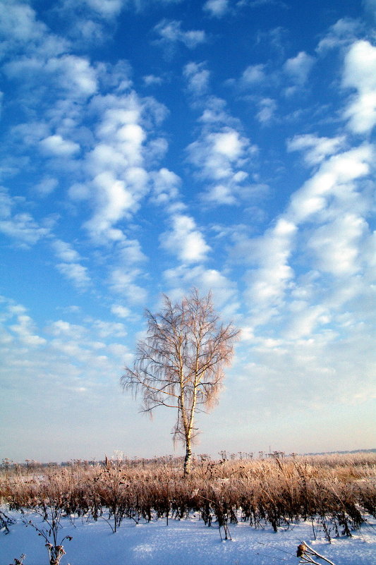 /// - Валерий Струк 